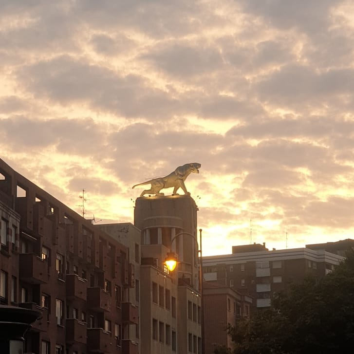 imgi 4 amanecer tigre imgi 4 amanecer tigre